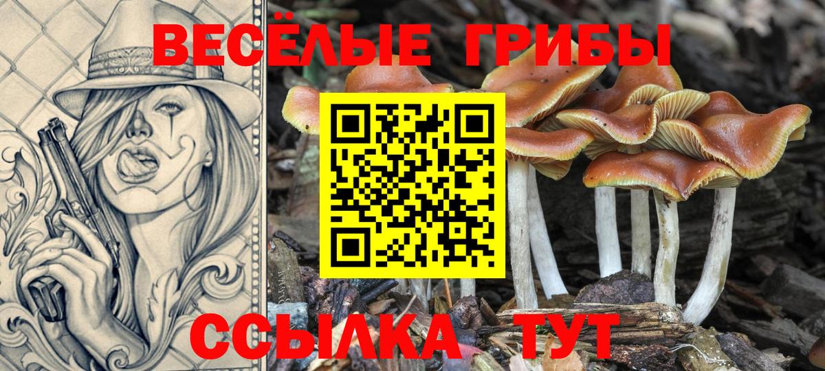 Димитровград  Галлюциногенные грибы MAGIC MUSHROOMS  Вход с VPN 