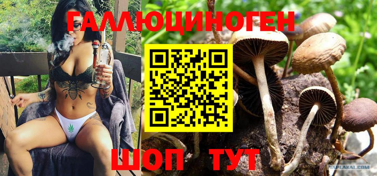 Галлюциногенные грибы Cubensis Димитровград
